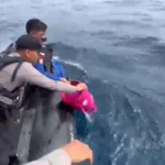 Tim SAR Temukan Serpihan Kapal KM Putri Sakinah, Empat WNA Spanyol Masih Dicari