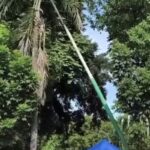 Tiang Penerangan Raksasa Roboh di Alun-alun Bangkalan, BPBD dan Dishub Saling Lontar Kewenangan