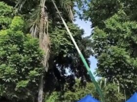 Tiang Penerangan Raksasa Roboh di Alun-alun Bangkalan, BPBD dan Dishub Saling Lontar Kewenangan