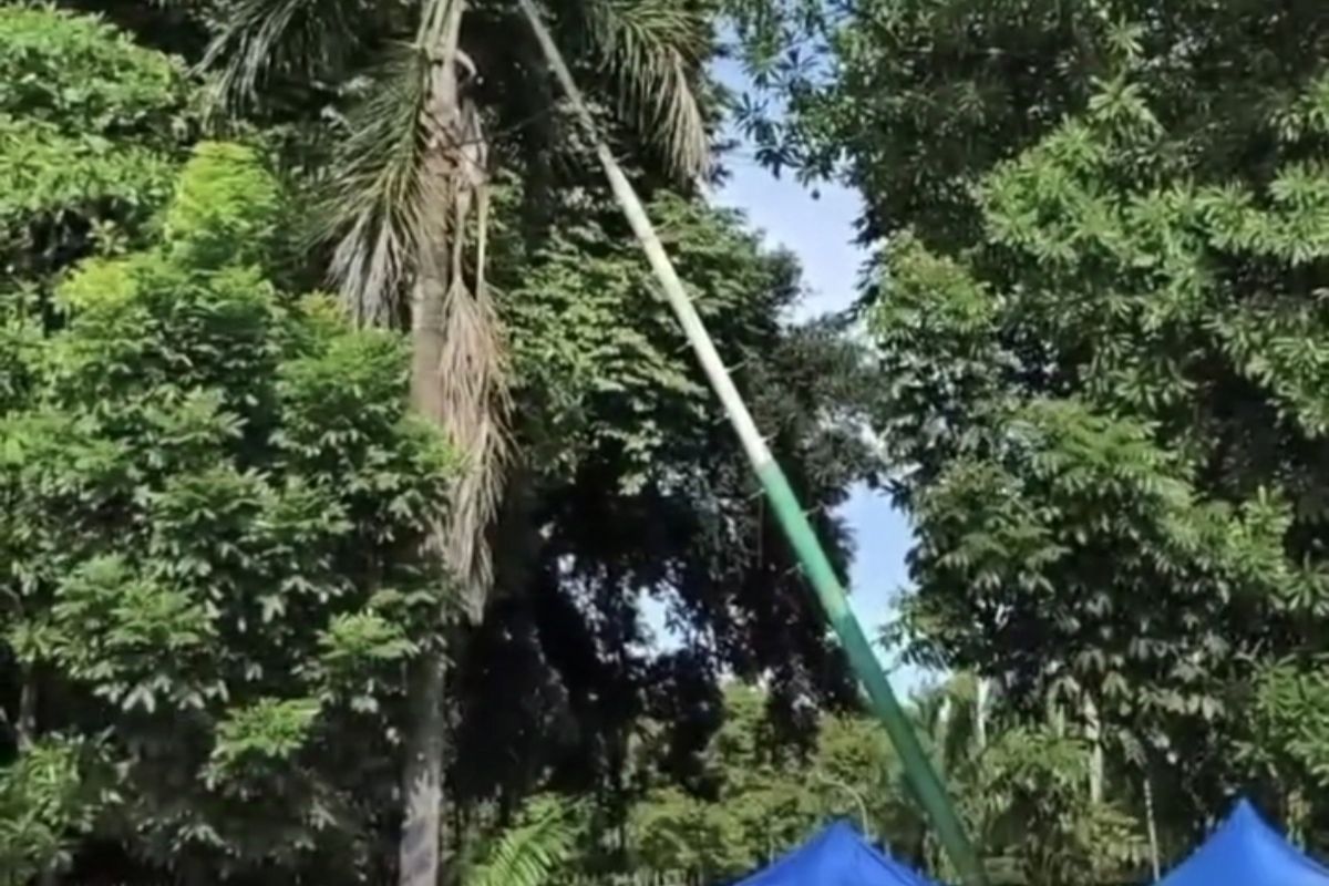 Tiang Penerangan Raksasa Roboh di Alun-alun Bangkalan, BPBD dan Dishub Saling Lontar Kewenangan