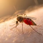 Kasus DBD Di Kota Pasuruan Melonjak 134%, Dinkes Galakkan Gerakan PSN