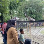 Cuaca Tak Halangi Minat Wisatawan, KBS Ramai di Awal Libur Nataru