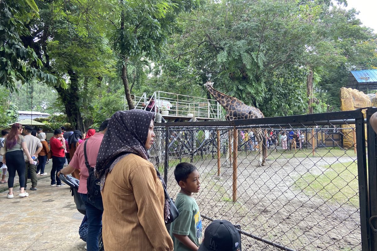 Cuaca Tak Halangi Minat Wisatawan, KBS Ramai di Awal Libur Nataru