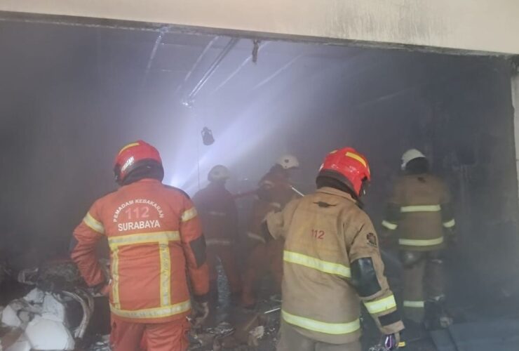 Enam Ekor Kucing Tewas Terpanggang dalam Kebakaran Garasi di Surabaya