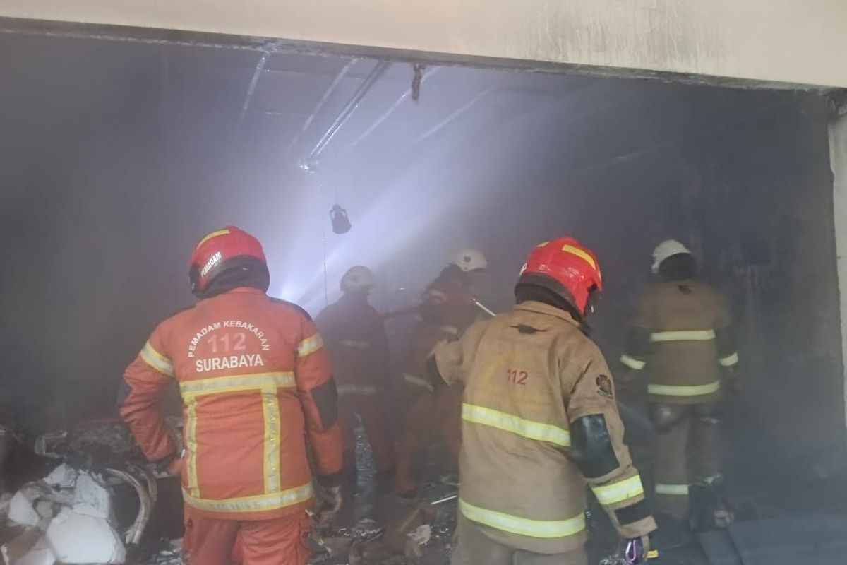 Enam Ekor Kucing Tewas Terpanggang dalam Kebakaran Garasi di Surabaya