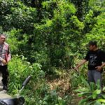 Pria di Sampang Ciptakan Skenario Begal Palsu untuk Kelabui Mertua