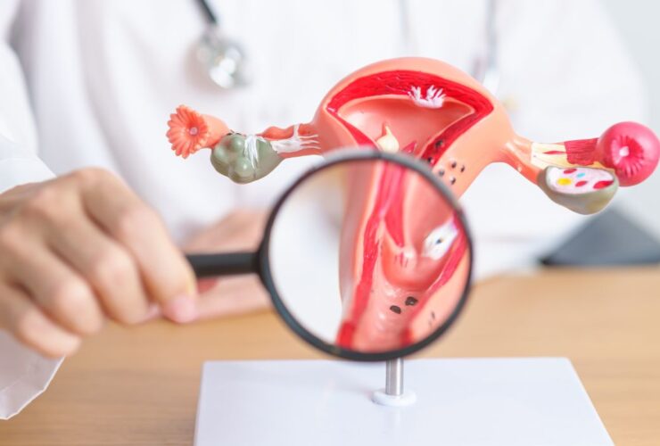 Fungsi Serviks: Gerbang Pelindung Kehidupan di Rahim