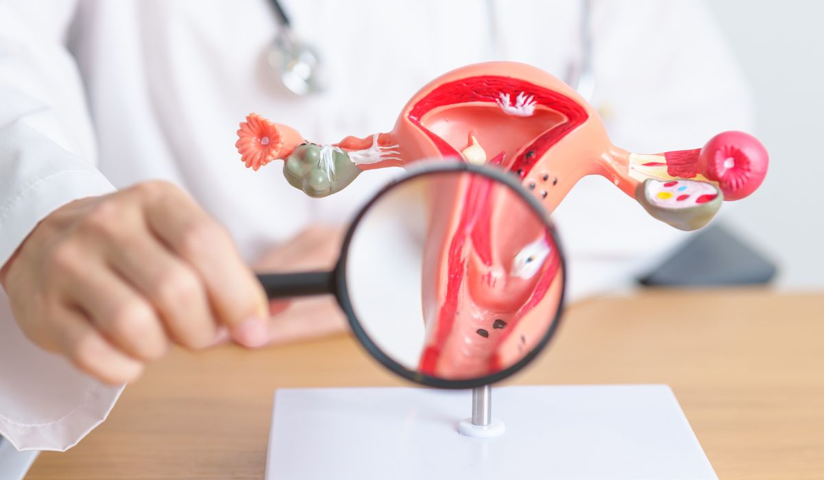 Fungsi Serviks: Gerbang Pelindung Kehidupan di Rahim