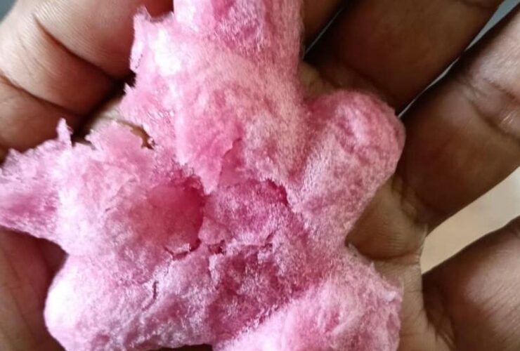 Es Kue Jadul Berbahan Spons? Fakta Sebenarnya Terungkap & Permintaan Maaf Polisi