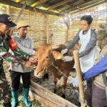 DPRD Jatim Desak Penanganan PMK Beralih dari Respons Darurat ke Strategi Jangka Panjang