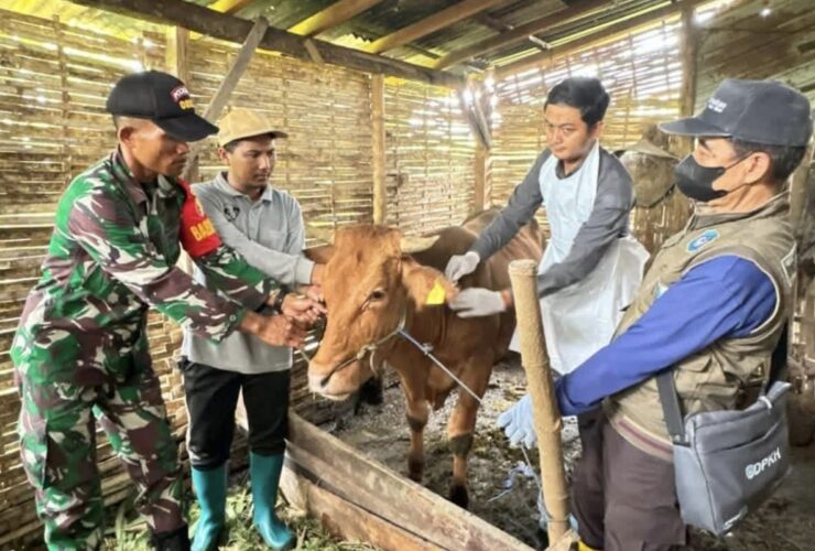 DPRD Jatim Desak Penanganan PMK Beralih dari Respons Darurat ke Strategi Jangka Panjang