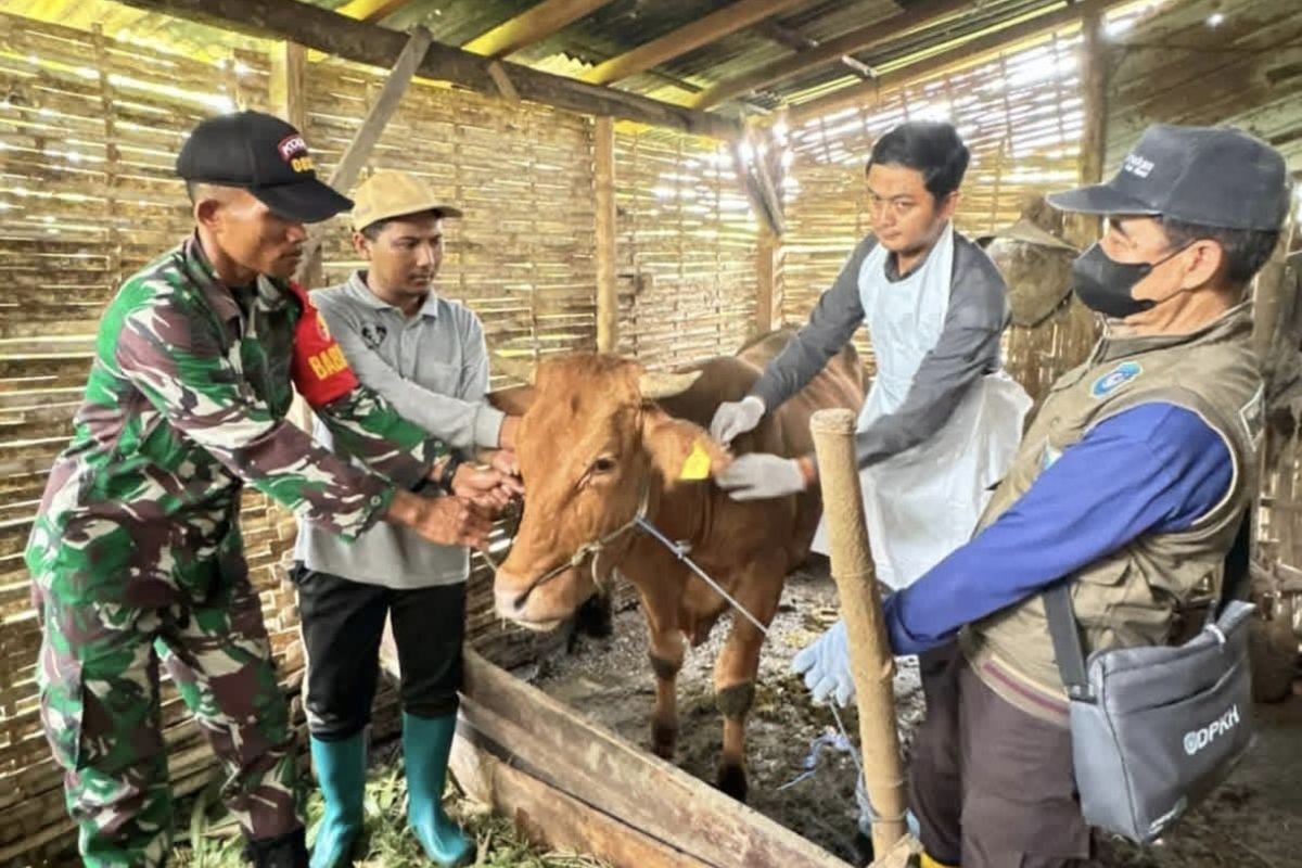 DPRD Jatim Desak Penanganan PMK Beralih dari Respons Darurat ke Strategi Jangka Panjang