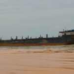 Tumpahan CPO di Gili Iyang Timbulkan Korban: Ikan dan Biota Laut Mati