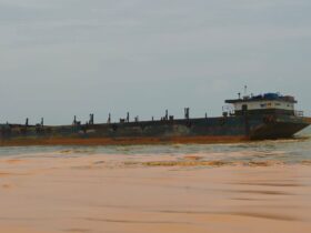 Tumpahan CPO di Gili Iyang Timbulkan Korban: Ikan dan Biota Laut Mati