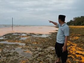 Pemkab Sumenep Belum Pastikan Ganti Rugi Kasus Tumpahan CPO di Gili Iyang