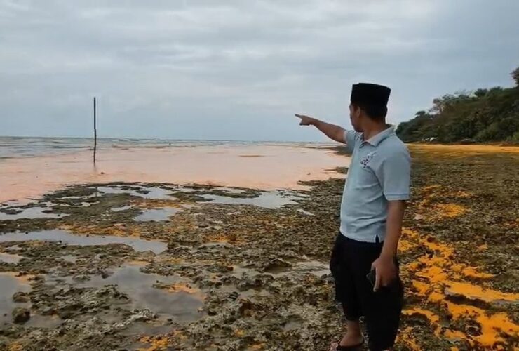 Pemkab Sumenep Belum Pastikan Ganti Rugi Kasus Tumpahan CPO di Gili Iyang