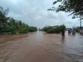BMKG Peringatkan Cuaca Ekstrem, Hujan Lebat dan Angin Kencang