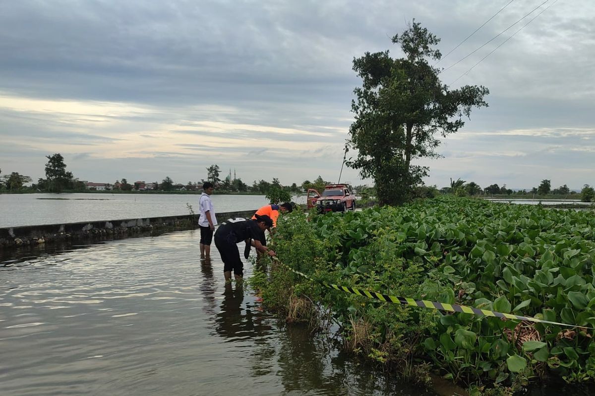 Petani Lamongan Terdampak Banjir Akan Terima Klaim Asuransi Pertanian