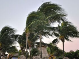 Siklon Tropis Luana Picu Angin Kencang di Jateng, Masyarakat Diingatkan Waspada