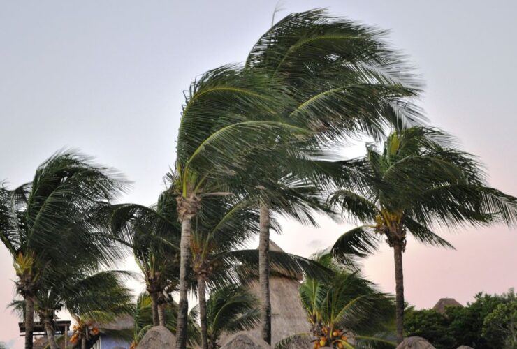 Siklon Tropis Luana Picu Angin Kencang di Jateng, Masyarakat Diingatkan Waspada