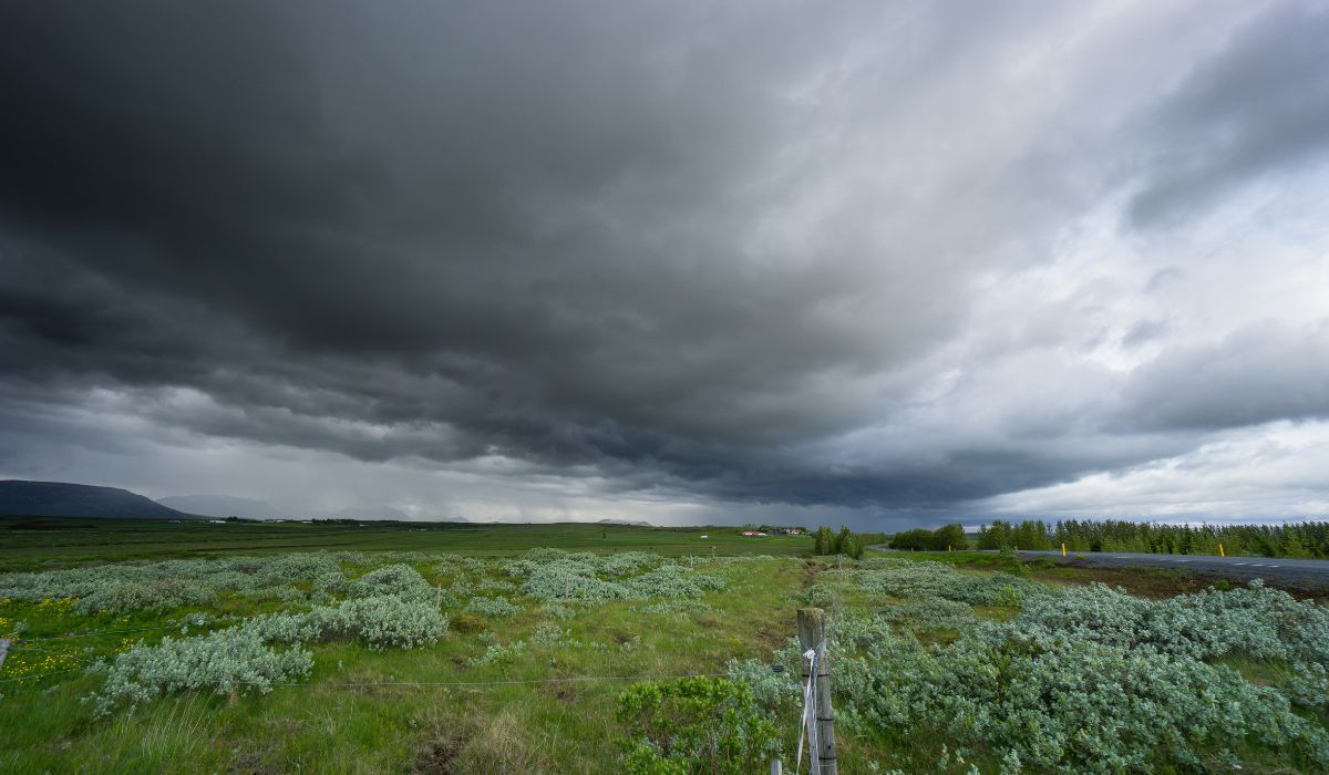 BMKG Peringatkan Cuaca Ekstrem 10 Hari Ke Depan, Wilayah Jatim Siap Hadapi Bencana