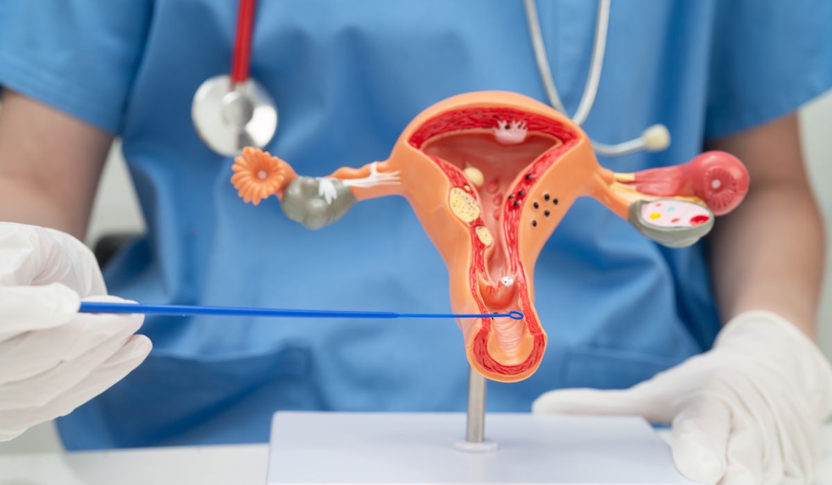 Fase Folikuler Adalah: Menguak Awal Siklus Menstruasi yang Penuh Potensi