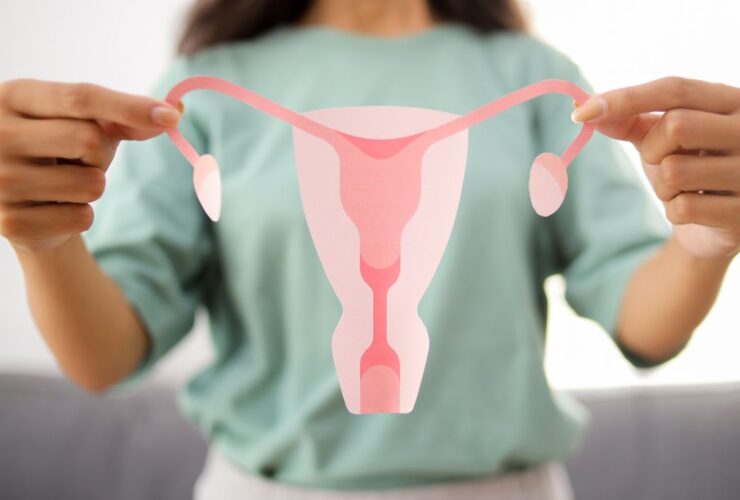 Sel Telur Wanita Ada Berapa? Memahami Jumlah dan Perjalanan Kesuburan