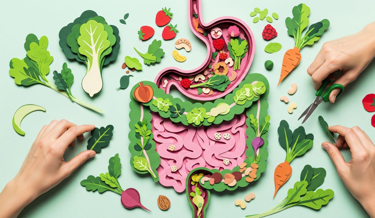 Cara Agar Pencernaan Sehat dan Lancar: Panduan Lengkap untuk Perut Nyaman