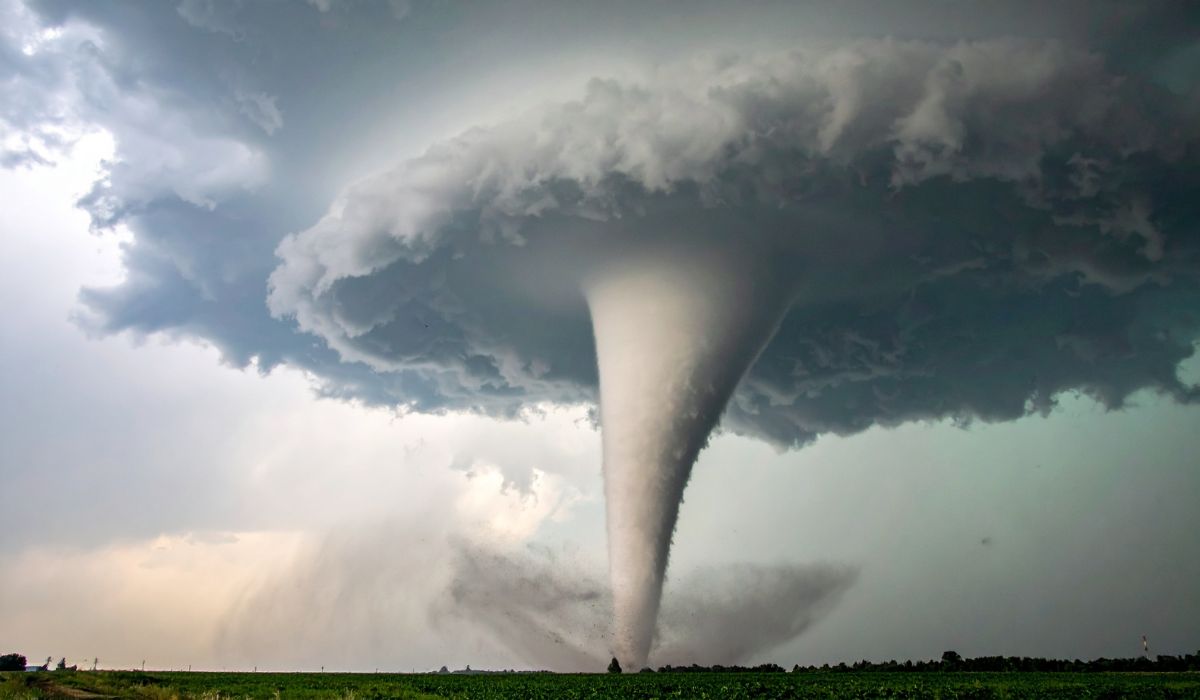 Puting Beliung Menerjang Probolinggo, Puluhan Rumah Rusak