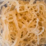 Manfaat Sea Moss: Superfood dari Laut yang Mengubah Hidup Anda
