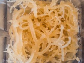 Manfaat Sea Moss: Superfood dari Laut yang Mengubah Hidup Anda