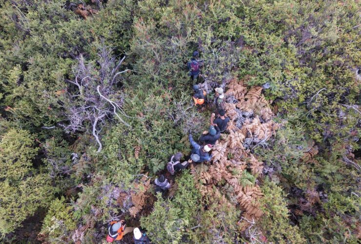 Kronologi Lengkap Penemuan Pendaki Ijen: Dari Laporan Tanpa Nama hingga Evakuasi di Tebing