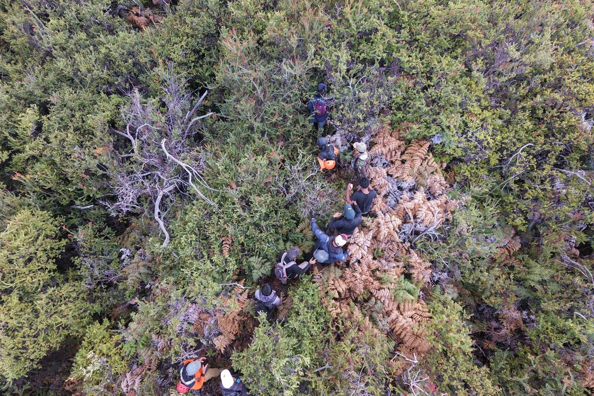 Kronologi Lengkap Penemuan Pendaki Ijen: Dari Laporan Tanpa Nama hingga Evakuasi di Tebing