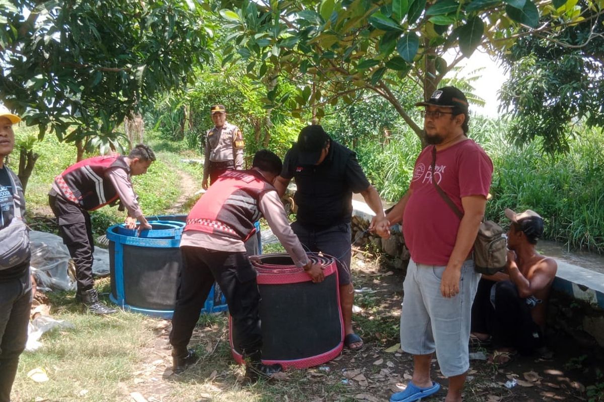 Gagal Ringkus Pelaku, Polisi Sita Belasan Motor saat Gebuk Judi Sabung Ayam