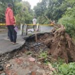 Hujan Disertai Angin Robohkan Pohon Trembesi, Bahu Jalan di Nganjuk Ambrol