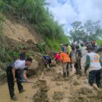 Longsor Timpa Jalan di Jember, Akses Transportasi Lumpuh Sementara