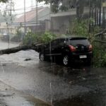 Pohon Tumbang Hantam Mobil dan Rumah di Blitar, Pengemudi Berhasil Selamat