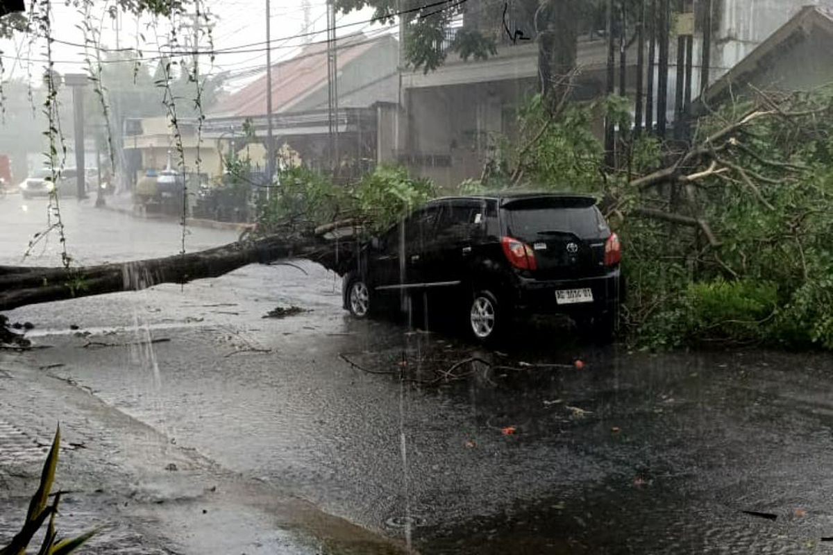 Pohon Tumbang Hantam Mobil dan Rumah di Blitar, Pengemudi Berhasil Selamat