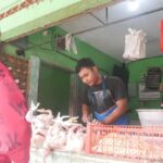 Harga Ayam Potong di Lumajang Tembus Rp 40 Ribu Jelang Ramadhan