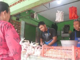 Harga Ayam Potong di Lumajang Tembus Rp 40 Ribu Jelang Ramadhan