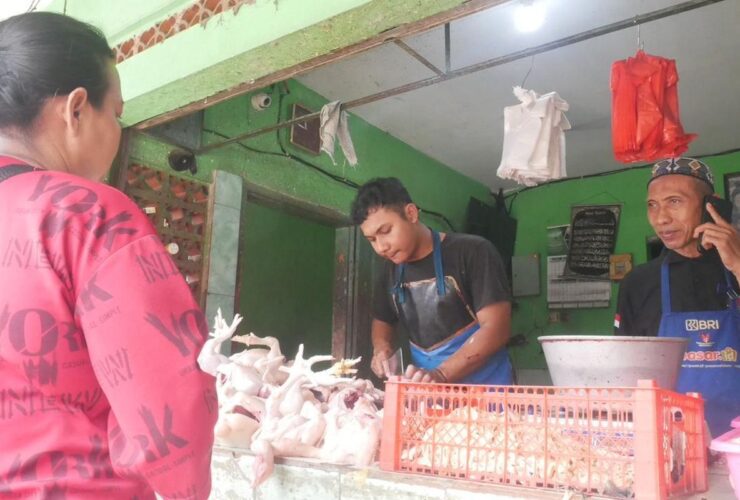Harga Ayam Potong di Lumajang Tembus Rp 40 Ribu Jelang Ramadhan
