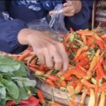 Harga Cabai Rawit di Pamekasan Tembus Rp112.000, Tertinggi se-Jawa Timur Jelang Ramadhan