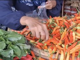 Harga Cabai Rawit di Pamekasan Tembus Rp112.000, Tertinggi se-Jawa Timur Jelang Ramadhan