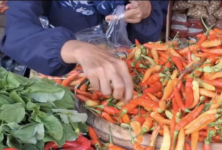 Harga Cabai Rawit di Pamekasan Tembus Rp112.000, Tertinggi se-Jawa Timur Jelang Ramadhan