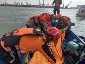 Peti Kemas Jatuh di Tanjung Perak Tewaskan Pekerja, Satu Tertimpa dan Hanyut