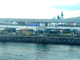 Antisipasi Kepadatan Arus Mudik, ASDP Terapkan Wajib Tiket dan Disiplin Jadwal di Ketapang-Gilimanuk