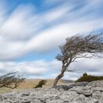 BNPB Ungkap Jawa Timur Masuk Zona Merah Bencana, Masyarakat Jember Diminta Waspada