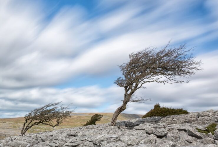 BNPB Ungkap Jawa Timur Masuk Zona Merah Bencana, Masyarakat Jember Diminta Waspada