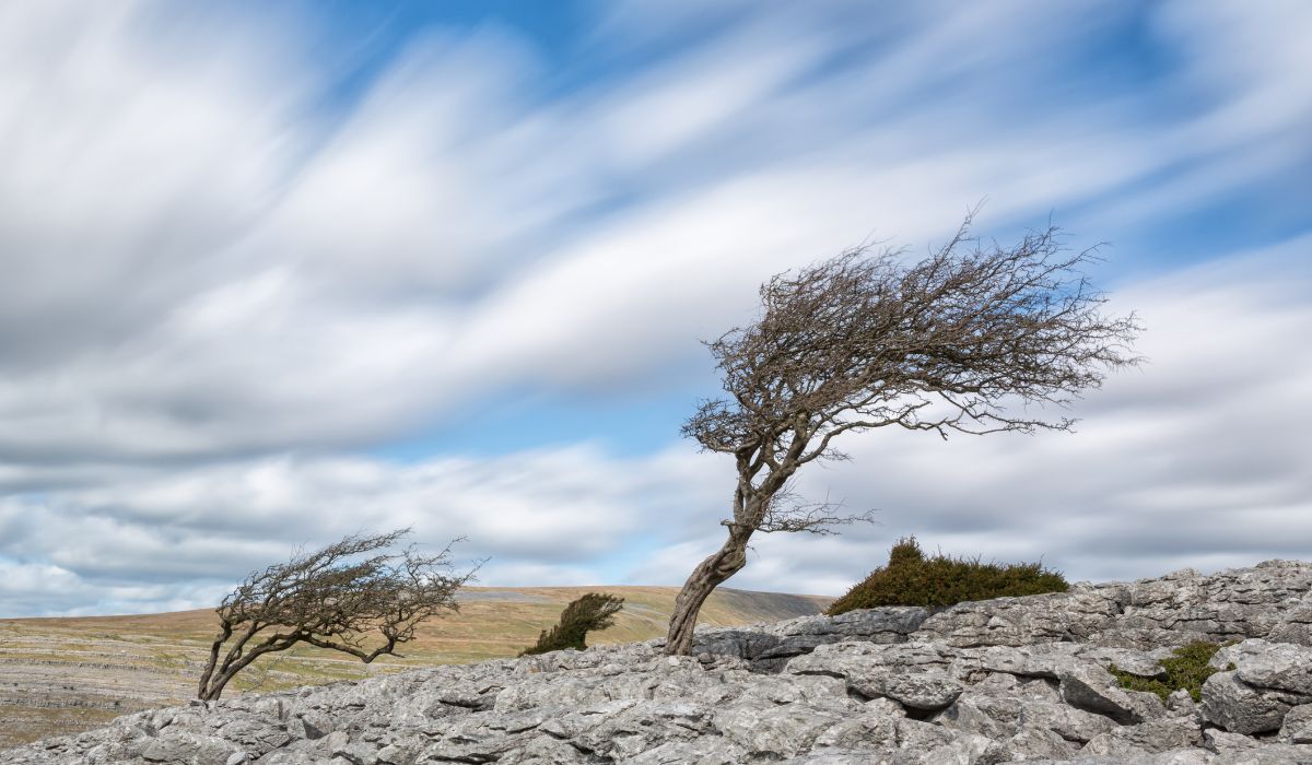 BNPB Ungkap Jawa Timur Masuk Zona Merah Bencana, Masyarakat Jember Diminta Waspada