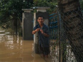 Banjir Meluas di Jember, 7.445 KK Terdampak dan Satu Warga Tewas Tersengat Listrik